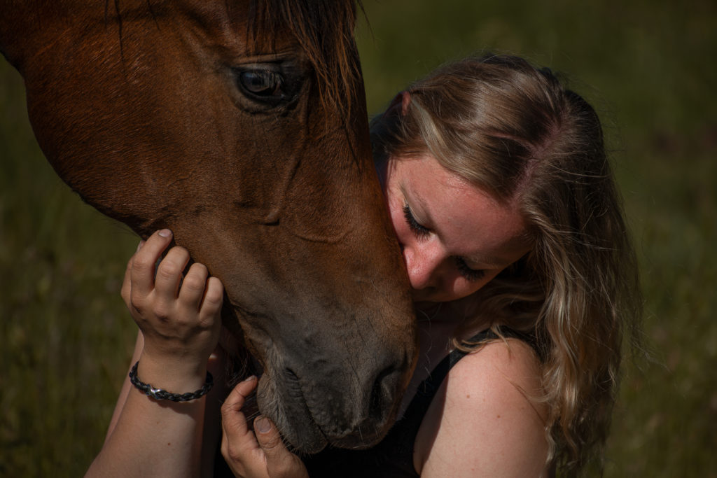 Pferd und Mensch kuscheln auf Weide beim Fotoshooting mit Janine Anstoots Fotografie in Uelzen