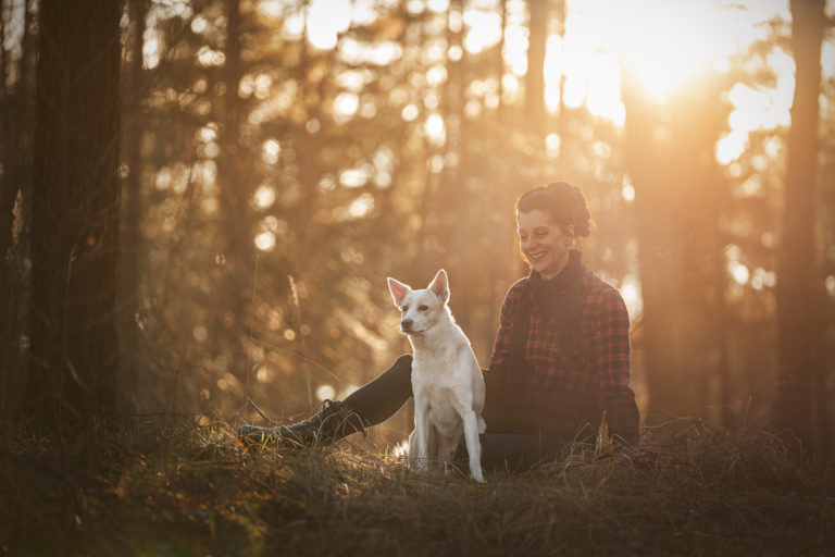 Hund und Mensch im Sonnenuntergang beim Fotoshooting mit Janine Anstoots Fotografie in Bad Bodenteich