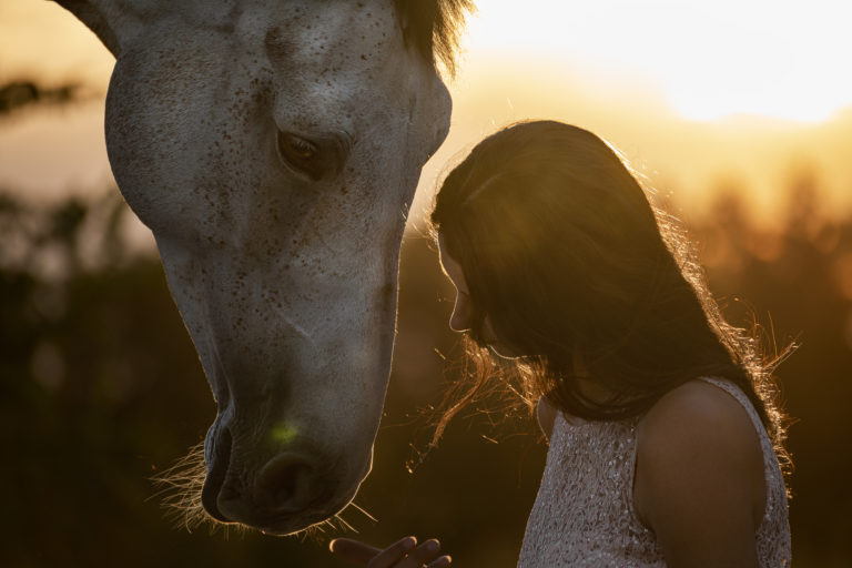 Pferd und Mensch im innigen Moment beim Pferdefotoshooting mit Janine Anstoots Fotografie in Uelzen
